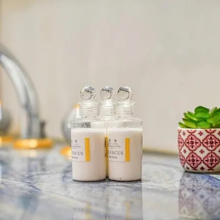 Napoleon Champs Elysees Paris