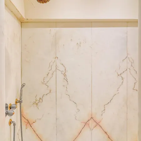 Napoleon Champs Elysees * Paris