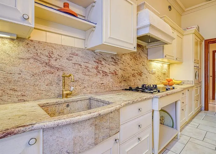 Napoleon Champs Elysees